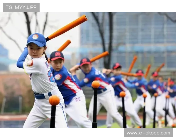 十五运会垒球项目顺利结束，赛事组织工作获多方好评