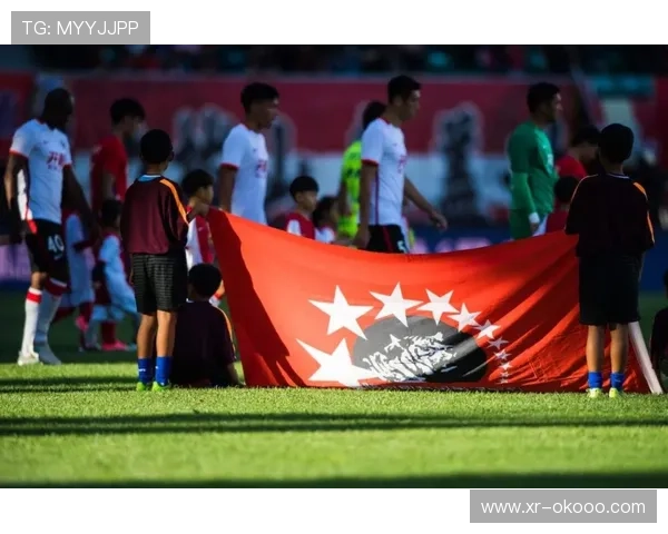 “保级战球迷文化：海登海姆主场助威不屈”